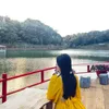 nguywardnguyward377