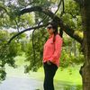 uk_collection