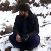 aamirtaimori