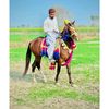 rizwan_chheena110