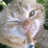 ksyushka_lwl