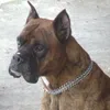 nadegenanou4