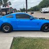 connorborst64