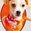 barkpurdy1