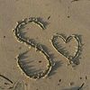 sadja_141516