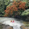 Hoà Phú Thành Tourist