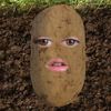 bakedpota.toe