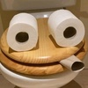 toiletdude1