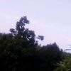 user13519089