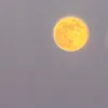 kuramasv96