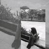 naurah.120388