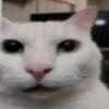 pentahdz