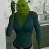 shrek.from.walmart