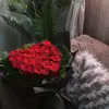 foofha12345