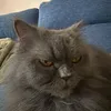 sebxs.bg