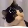 phomaiiii07