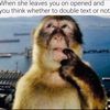 igola_mamas