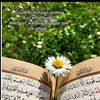 songul0448