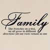 mrmohammad85