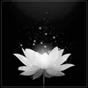 djloanjerry0909