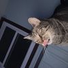 mikec.g59ftp