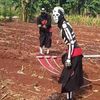 theara_sr