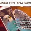polimiroslavskai