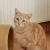 kjtc3kity_