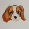 korshik_0000