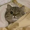 kkopilattee