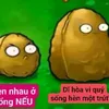 myny_311331