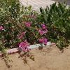 user47139345mdnoorctgdu0