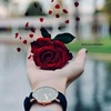 nhussain_786