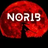 norib_official