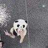 chi.capy