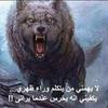 walidlion5