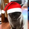 voropla
