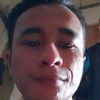gofar290