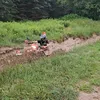 ryanwinter88