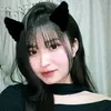 lien_meii