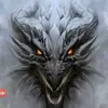 dragonetorange