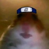 grandhamster1