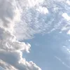 westpija