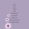 anber_6