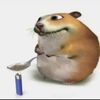 biggie_provalone