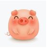 pig_king777
