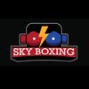 skyboxing