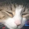 unkn0wnstatus