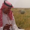 لافي
