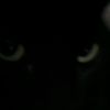 itavi_